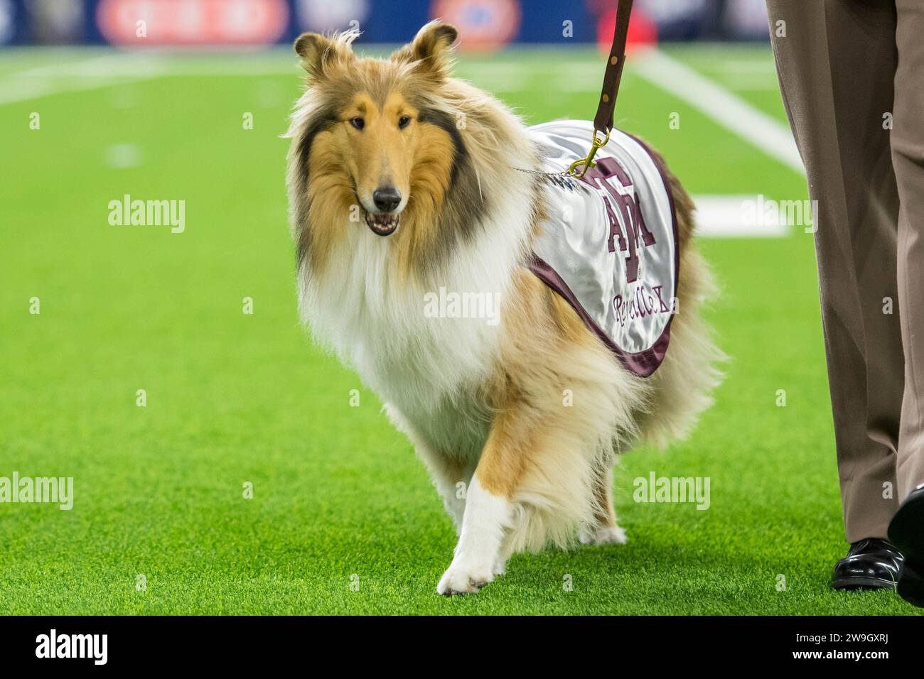 Houston TX EE.UU 27 de diciembre de 2023. La mascota de Texas