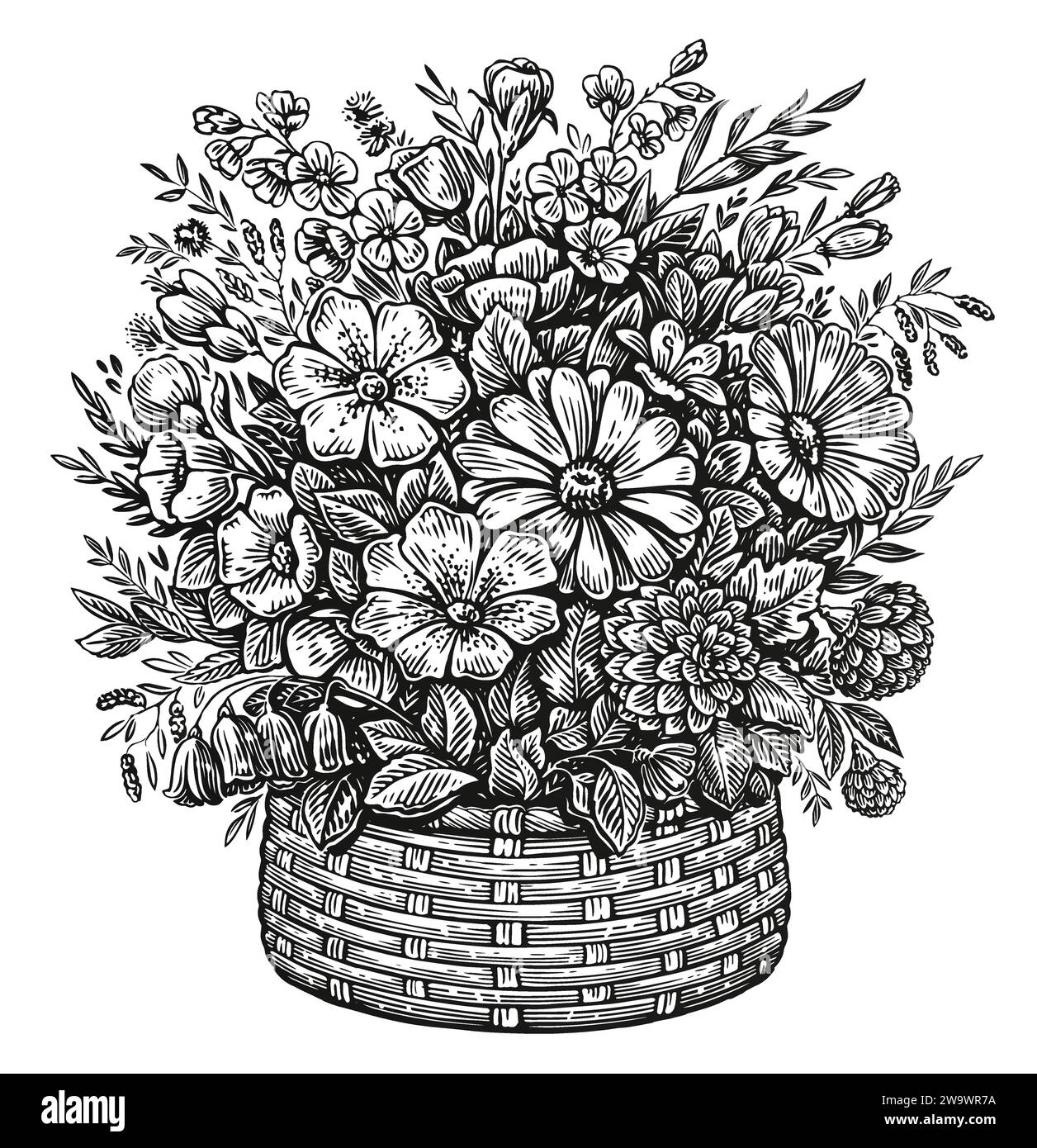 Ilustración de boceto de arreglo floral. Cesta de mimbre dibujada a mano con flores silvestres en estilo de grabado vintage Ilustración del Vector