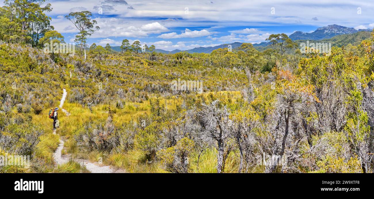 Panorama de la llanura de Loddon con excursionista en solitario en el día soleado en el sendero francés Cap, Parque Nacional Franklin-Gordon Wild Rivers, Tasmania, Australia Foto de stock