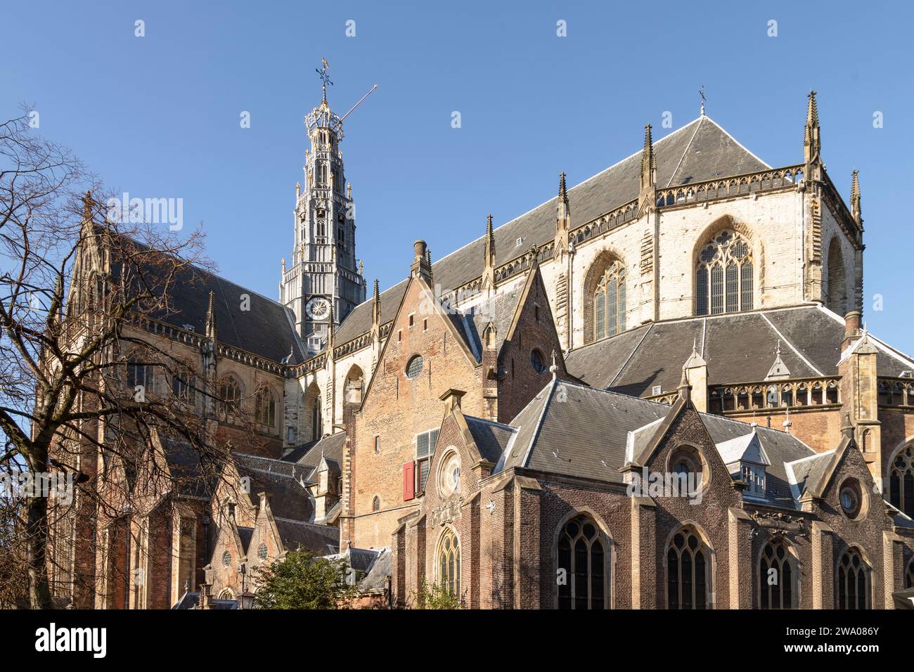 El Grote Kerk o St.-Bavokerk, una iglesia protestante reformada y ...