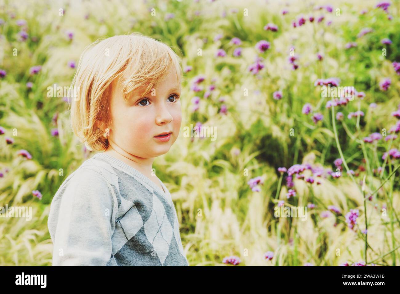 Adorable niño rubio jugando en un jardín, usando jersey gris Foto de stock