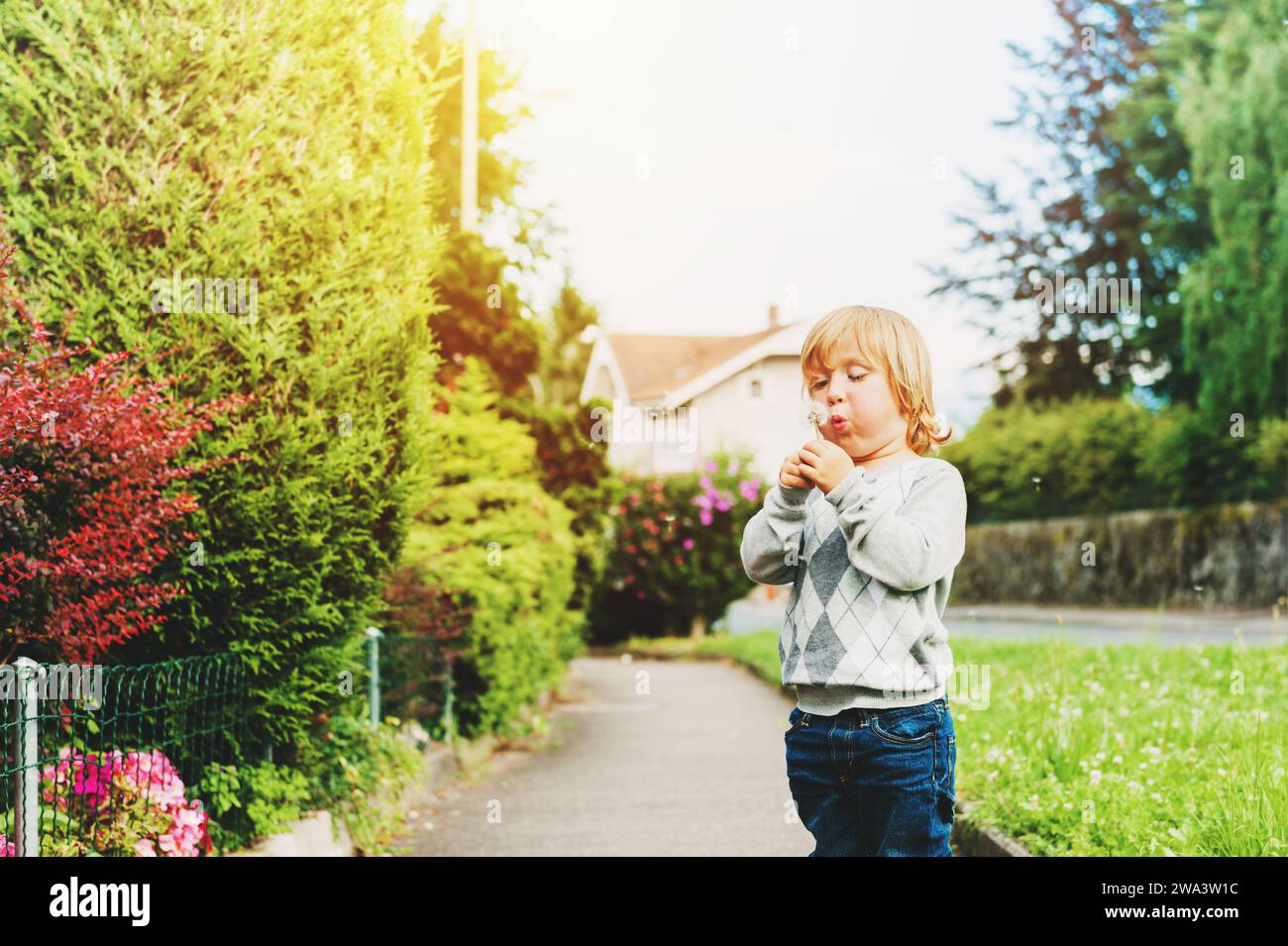 Niño feliz soplando diente de león al aire libre en el parque de primavera Foto de stock