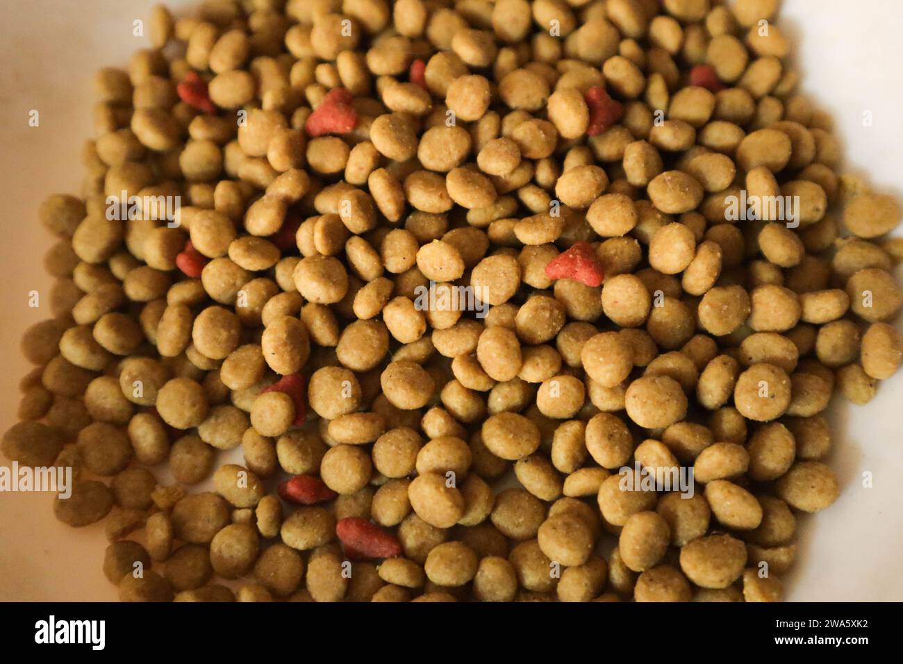 primer plano de sabor a pollo de comida para gatos Foto de stock