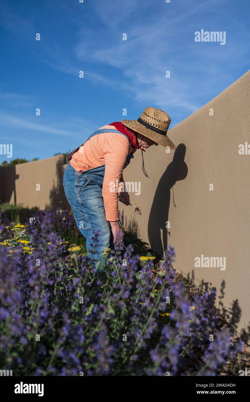 Usa, Nuevo México, Santa Fe, mujer en sombrero de paja y mono de denim jardinería Foto de stock