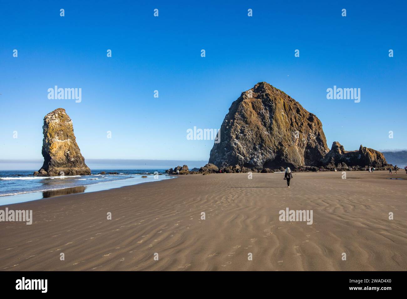 EE.UU., Oregon, Vista trasera de la mujer caminando cerca de Haystack Rock en Cannon Beach Foto de stock