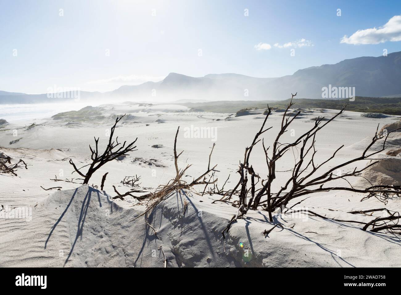 Playa de arena en Walker Bay Nature Reserve Foto de stock