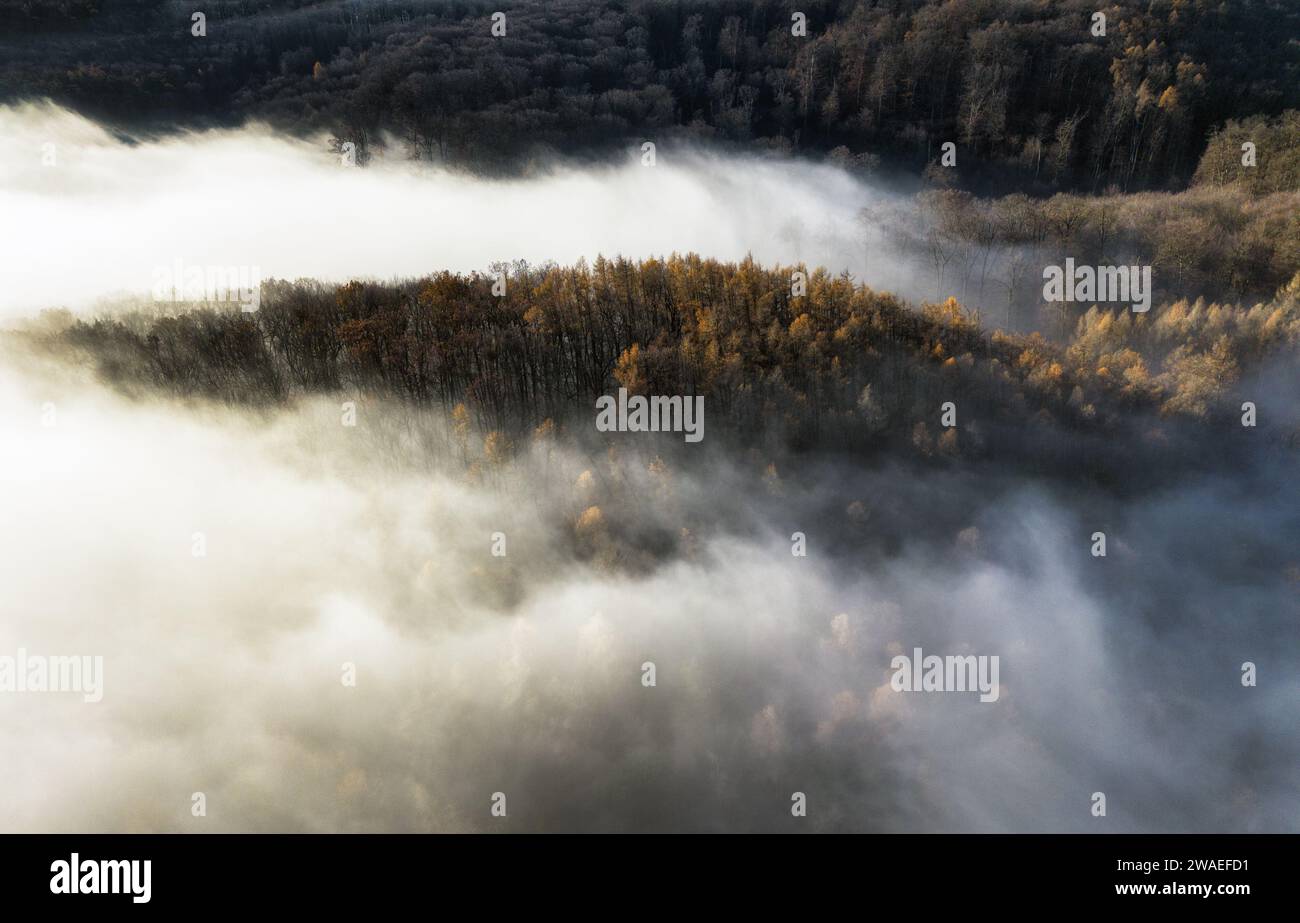 Niebla y niebla sobre el bosque de montaña Foto de stock