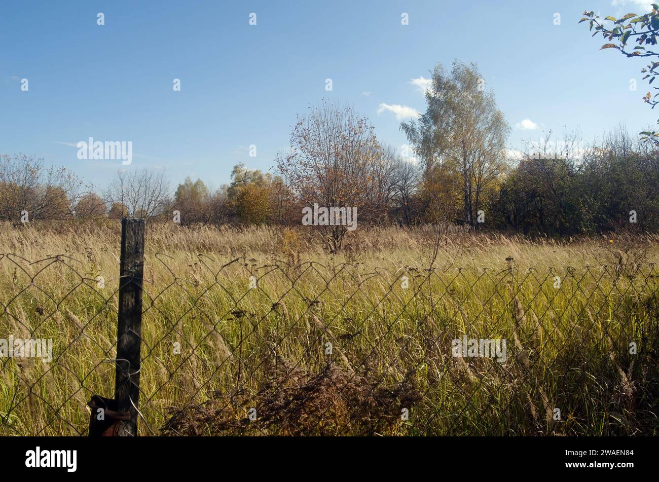Campo detrás de una valla de malla, en otoño Foto de stock