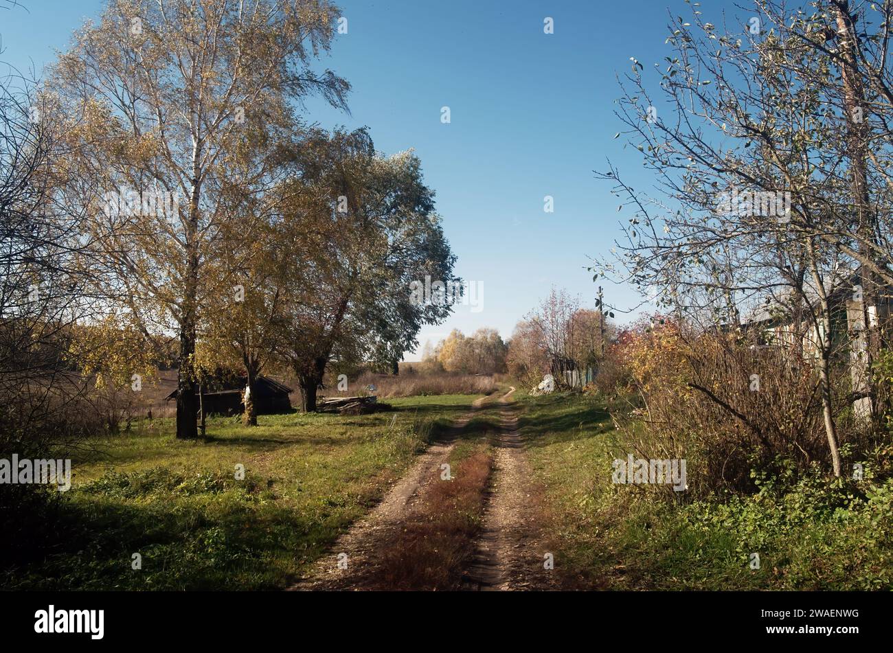 Camino de tierra en el pueblo en otoño, Rusia Foto de stock