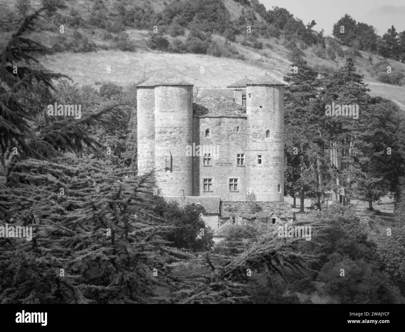 Una fotografía en blanco y negro de un antiguo castillo situado en lo alto de una colina cubierta de hierba Foto de stock