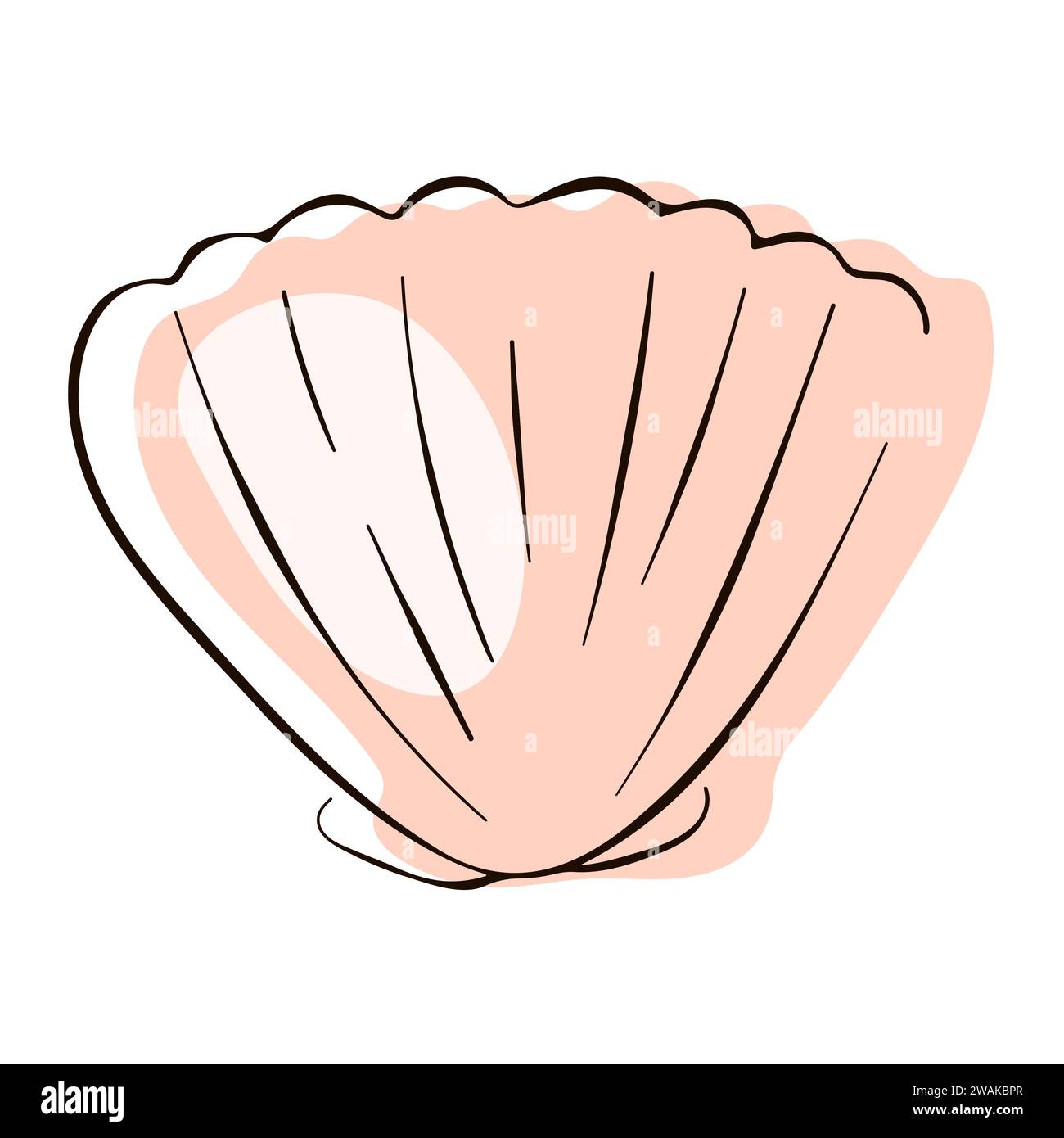 Vieiras Seashell logo en estilo de arte de línea. Shell diseño submarino para restaurante de mariscos. Ilustración vectorial aislada sobre un fondo blanco Ilustración del Vector