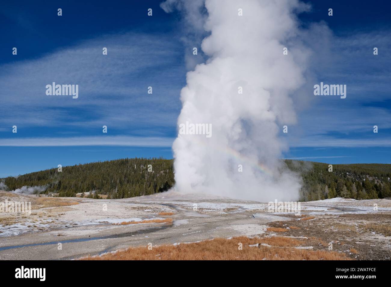 Viejo Geyser fiel en erupción en el Parque Nacional Yellowstone Foto de stock