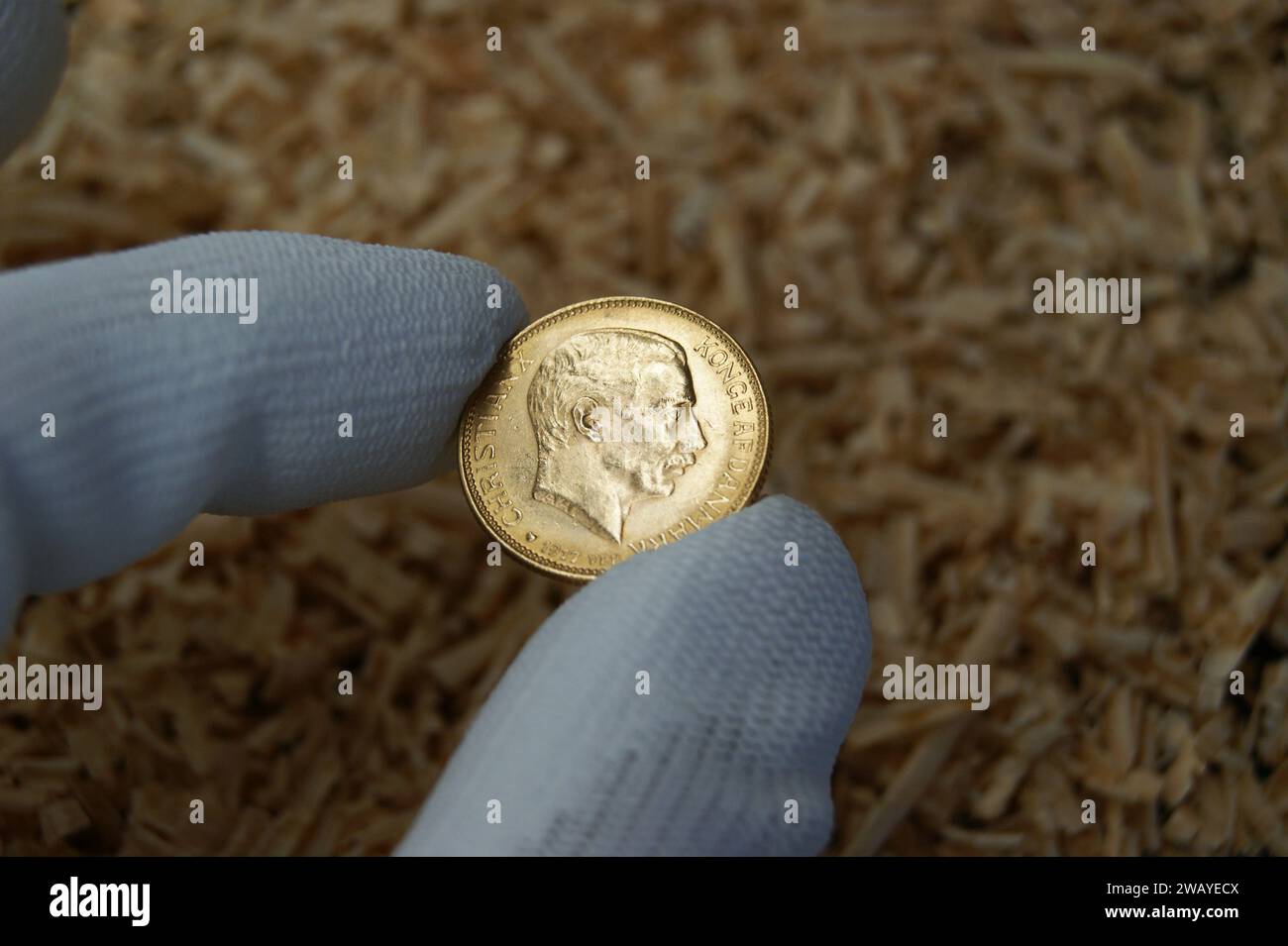 20 Kroner Christian X 1917. Una vieja moneda danesa de oro en manos de un numismático. Foto de stock