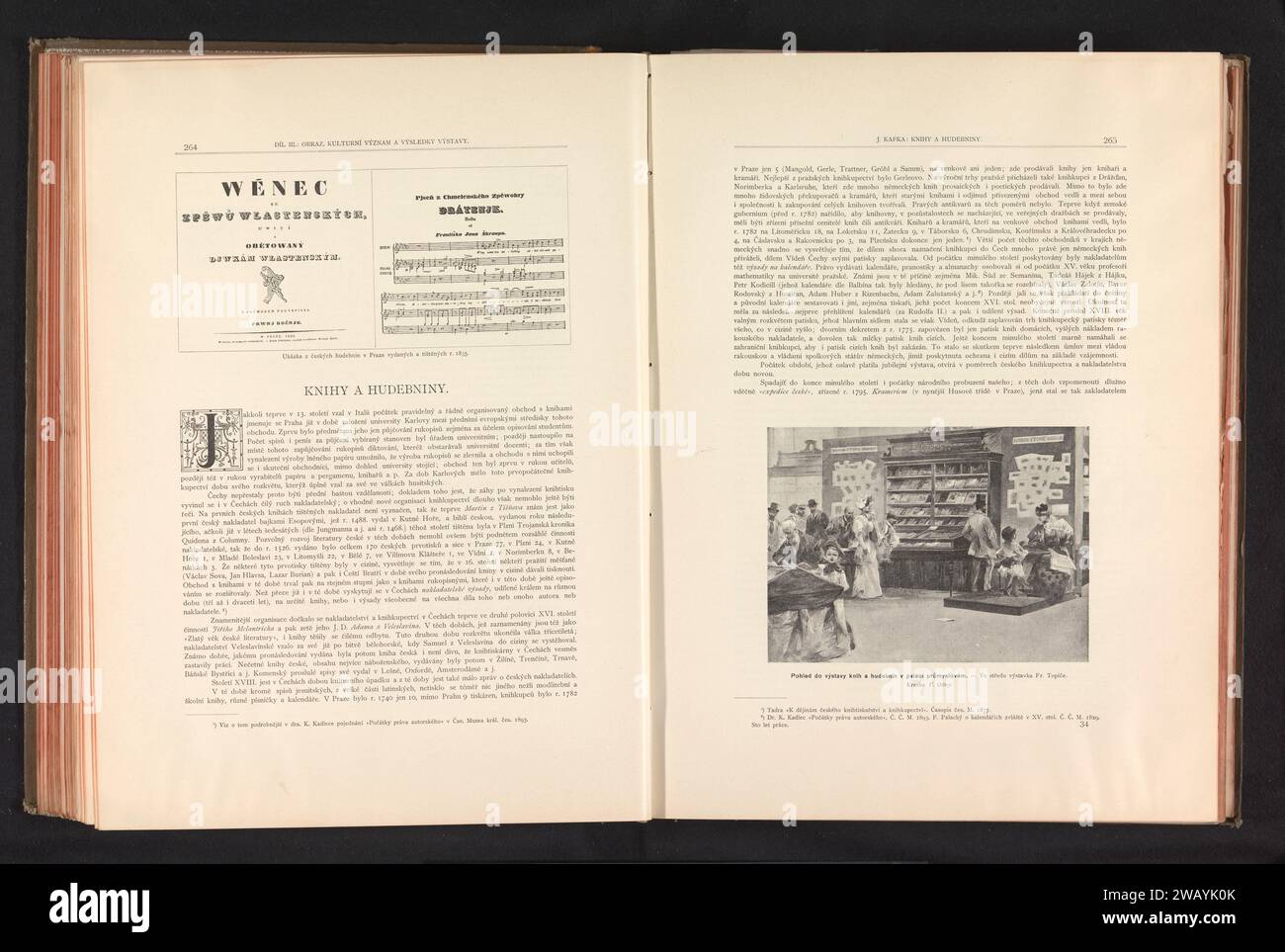 Producción fotográfica de una pintura, que representa una exposición de libros en la Industriepaleis en Praga, Anónimo, c. 1890 - en o antes de 1895 impresión fotomecánica Praga exposición temporal de papel, 'Salón'. libro Foto de stock