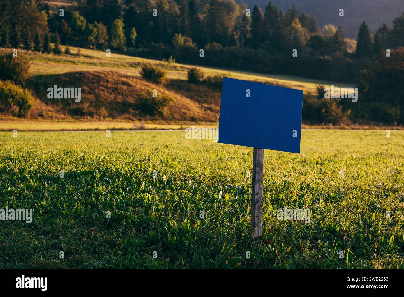 Mockup de madera del cartel de la información azul en prado alpino escénico en la mañana, enfoque selectivo Foto de stock