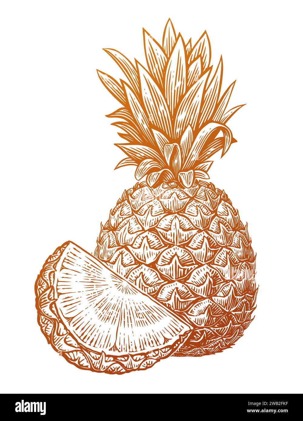 Piña con rebanada, dibujo dibujado a mano. Comida fresca eco. Ilustración vectorial de frutas tropicales Ilustración del Vector