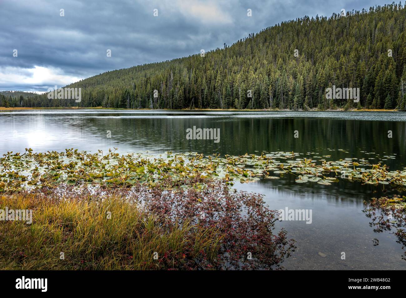 El Lago Gemelo Sur en el Parque Nacional Yellowstone, Wyoming, Estados Unidos Foto de stock