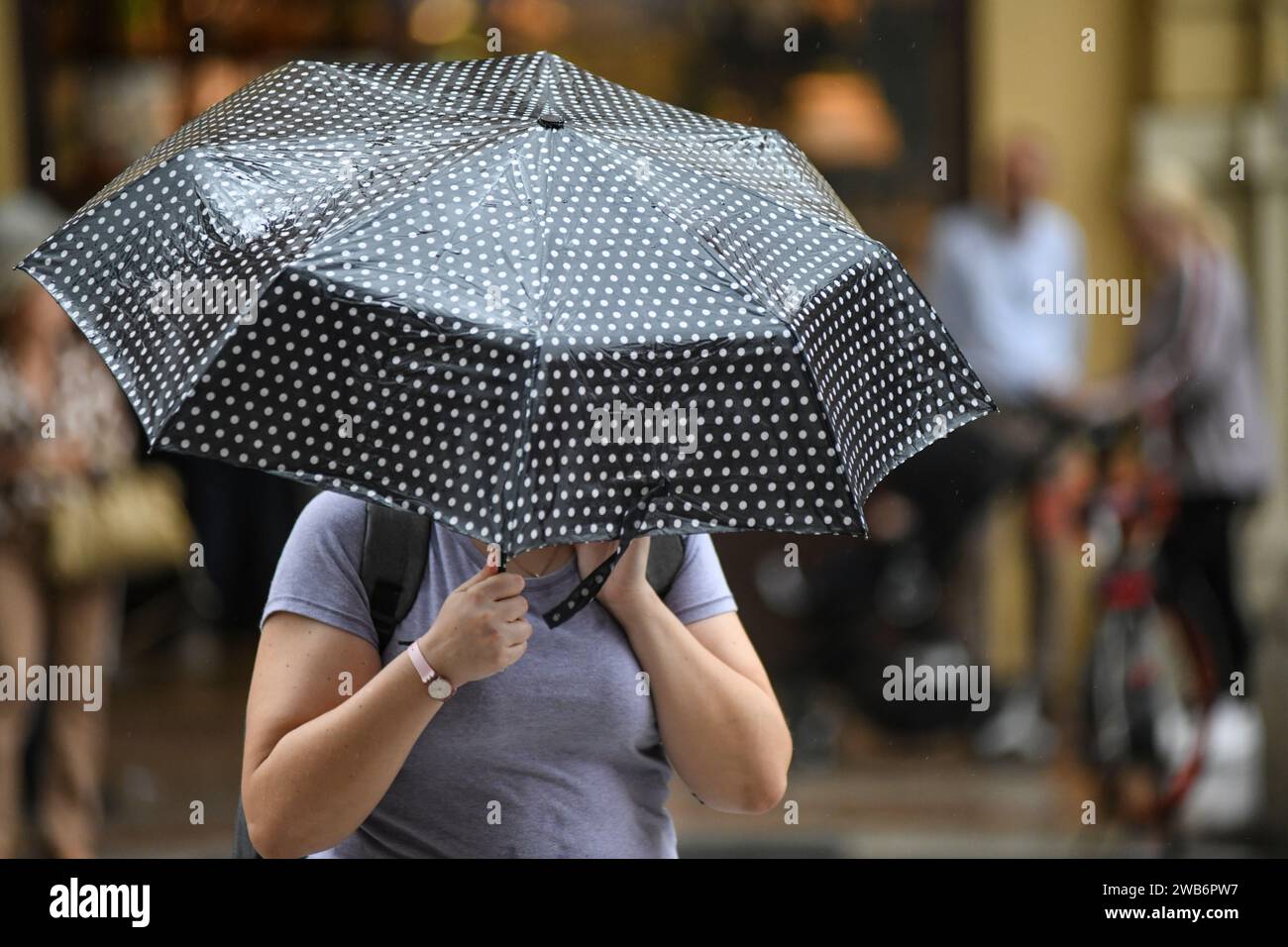 Mujer que cruza la calle bajo la lluvia con un paraguas. Via Ugo Bassi, Bolonia, Italia. Foto de stock