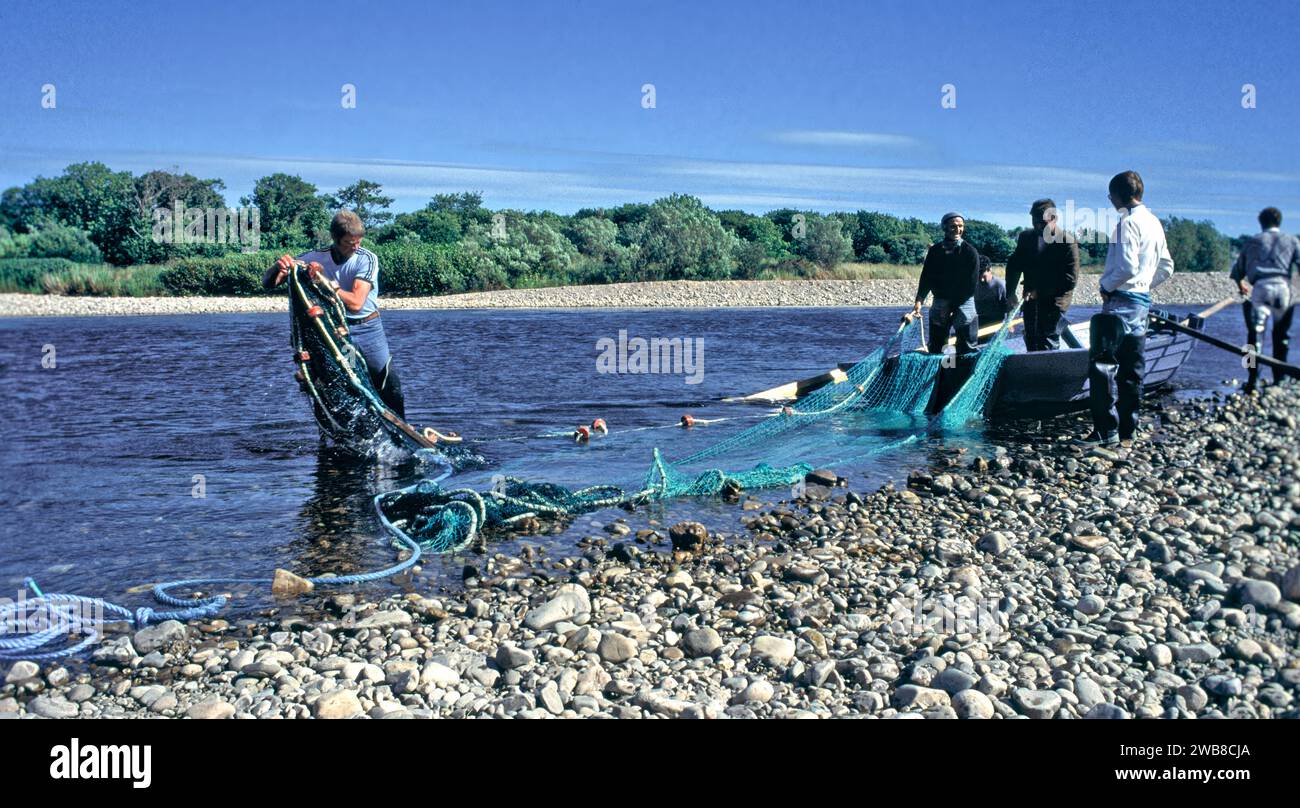 Red de salmón en el río Spey Speymouth cerca de Tugnet el equipo que clasifica la red Foto de stock