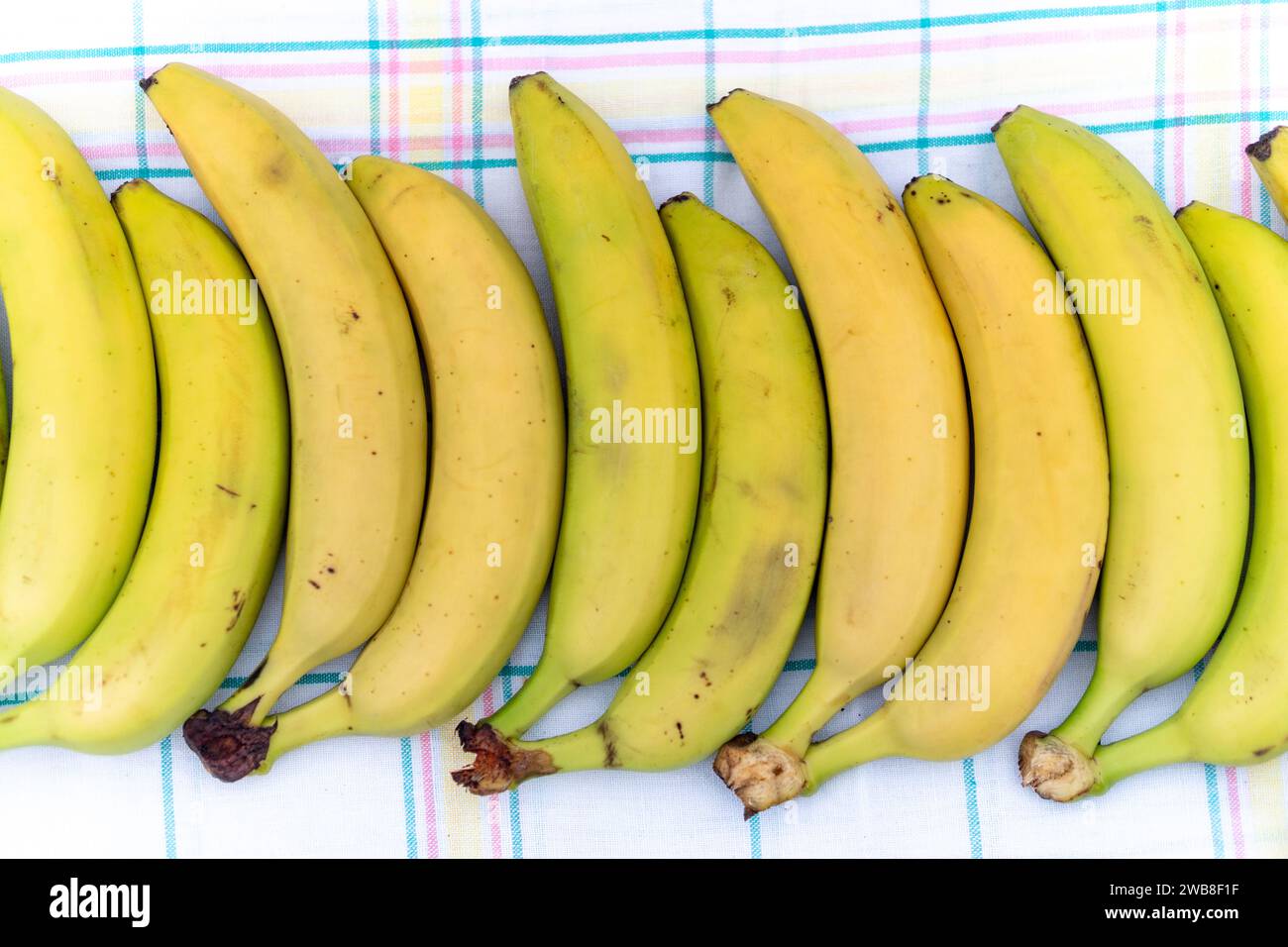 Plátanos maduros, apetitosos, saludables, grandes, dulces, perfectamente alineado en una fila en una mesa de mantel a cuadros sobre un fondo claro. La vista desde la parte superior. H Foto de stock