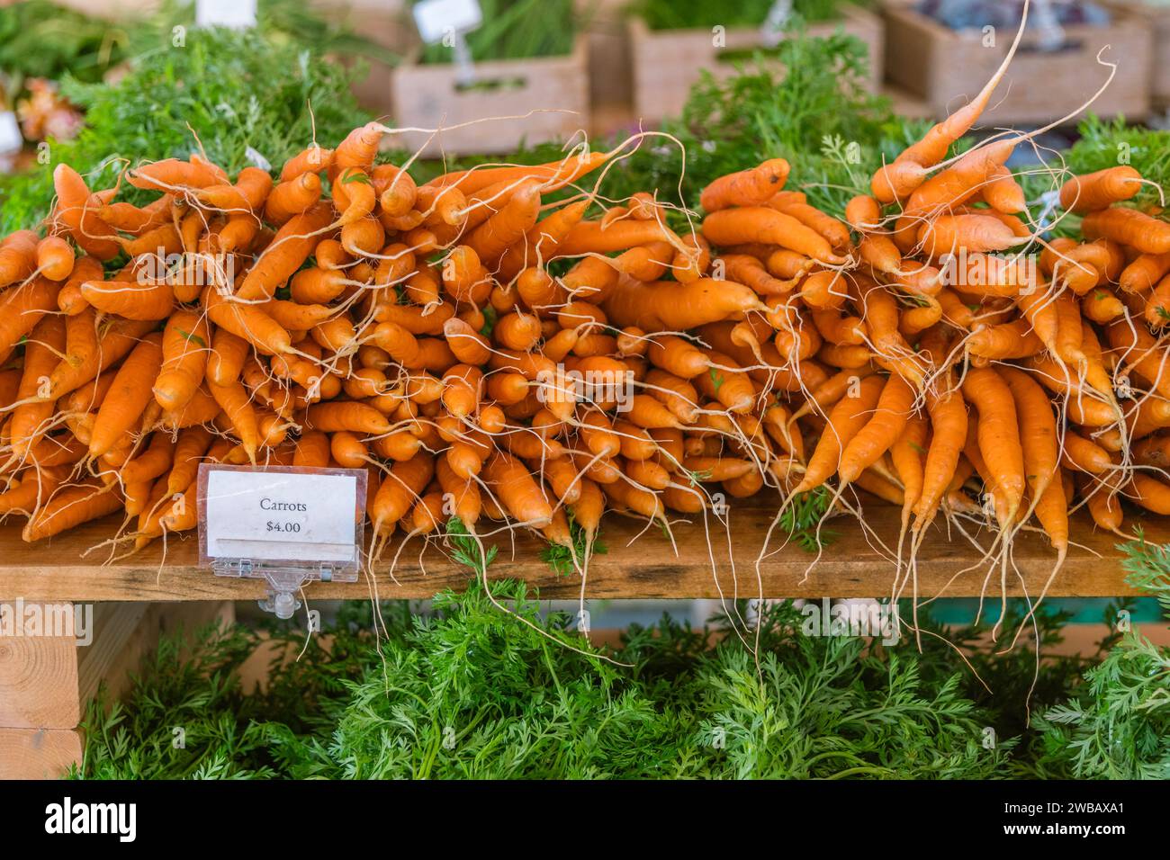 Primer plano de zanahorias y rábanos en exhibición en un mercado de agricultores al aire libre. Foto de stock