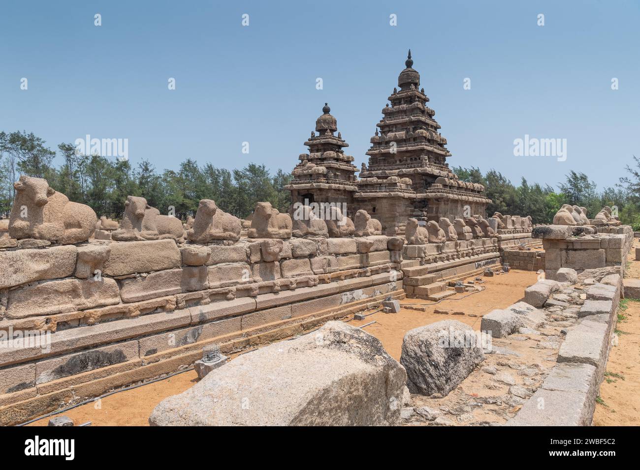 Templo de la costa de Nandi dedicado a Shiva, Patrimonio de la Humanidad de la UNESCO, Mahabalipuram o Mamallapuram, Tamil Nadu, India Foto de stock