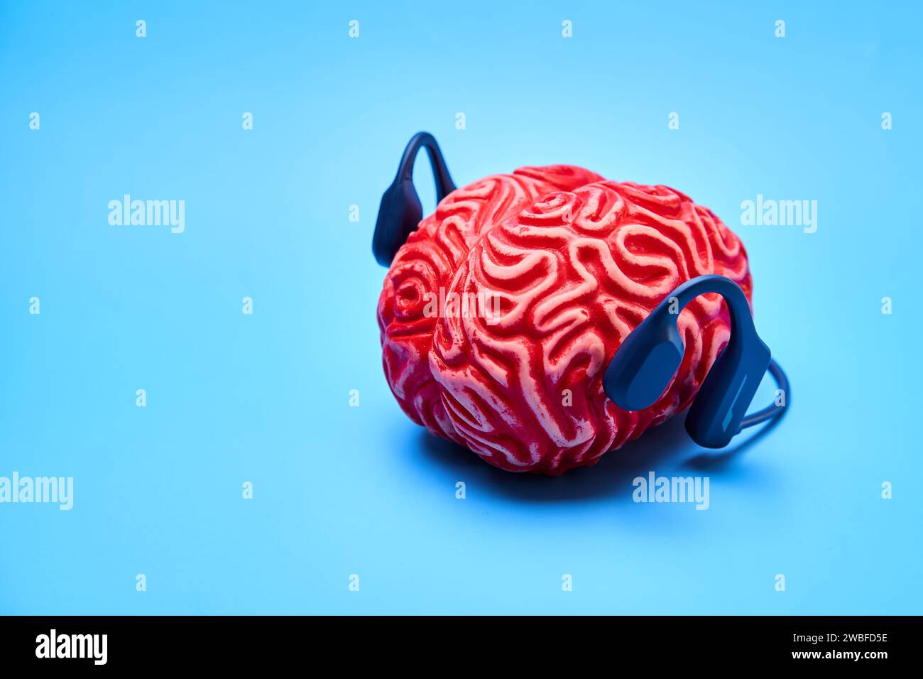 Cerebro de goma rojo con auriculares en una superficie azul. Concepto de descanso cerebral. Foto de stock