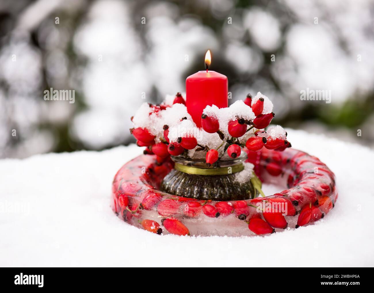 Hermoso arreglo florístico con ramas de rosa mosqueta, guirnalda congelada hecha de hielo, bayas de rosa cadera roja y vela roja ardiente en la nieve. Foto de stock