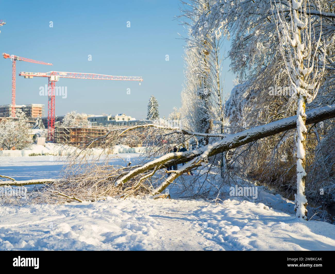 Paisaje de invierno, sitio de construcción con grúas de construcción rojas Foto de stock