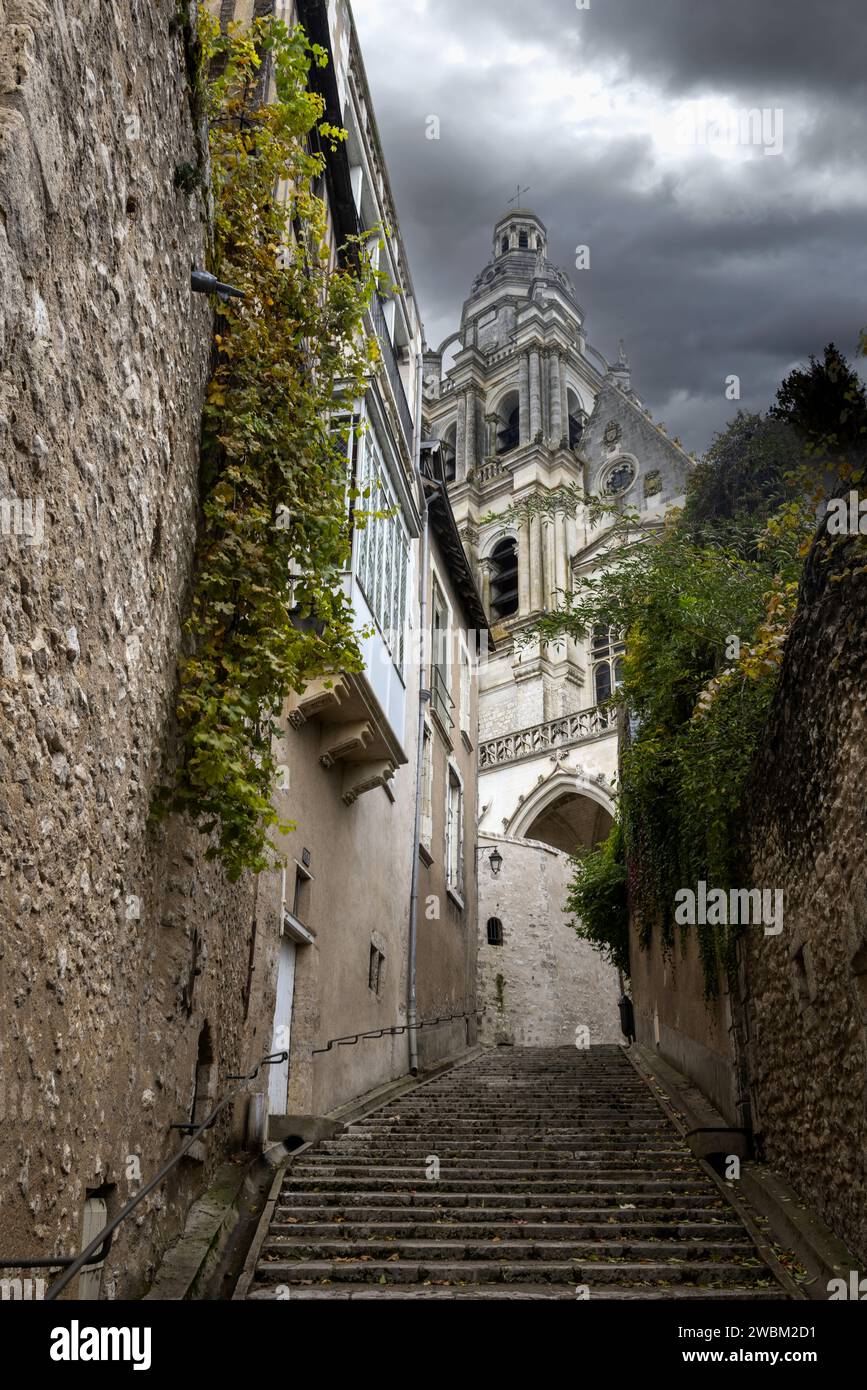 Escalera que conduce a la catedral de Saint-Louis en Blois Foto de stock