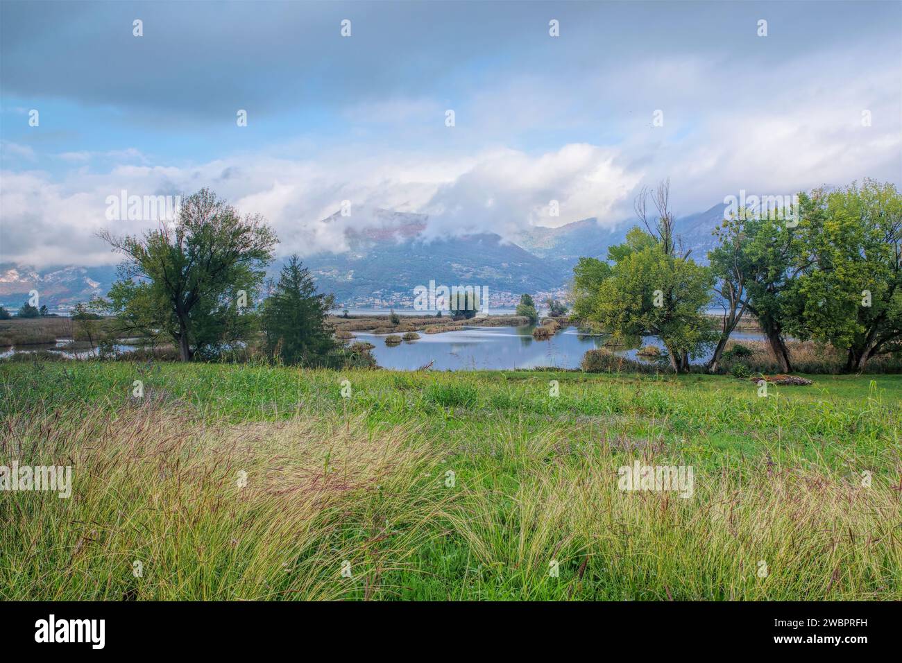 Reserva Natural Torbiere humedales del Sebino, cerca del lago de Iseo, Lombardía en Italia Foto de stock