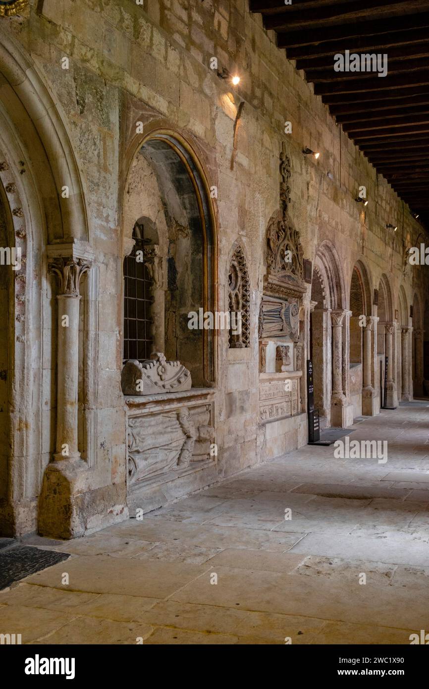 claustro, catedral vieja, Salamanca, comunidad Autónoma de Castilla y León, España Foto de stock