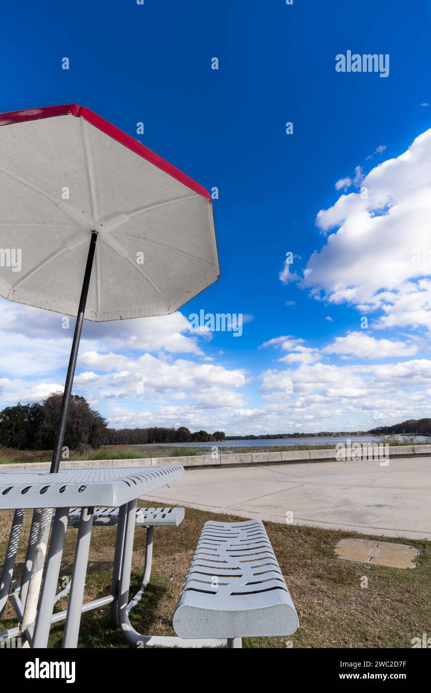 Hermoso día para un picnic junto al lago en Liberty Park Inverness Florida Foto de stock