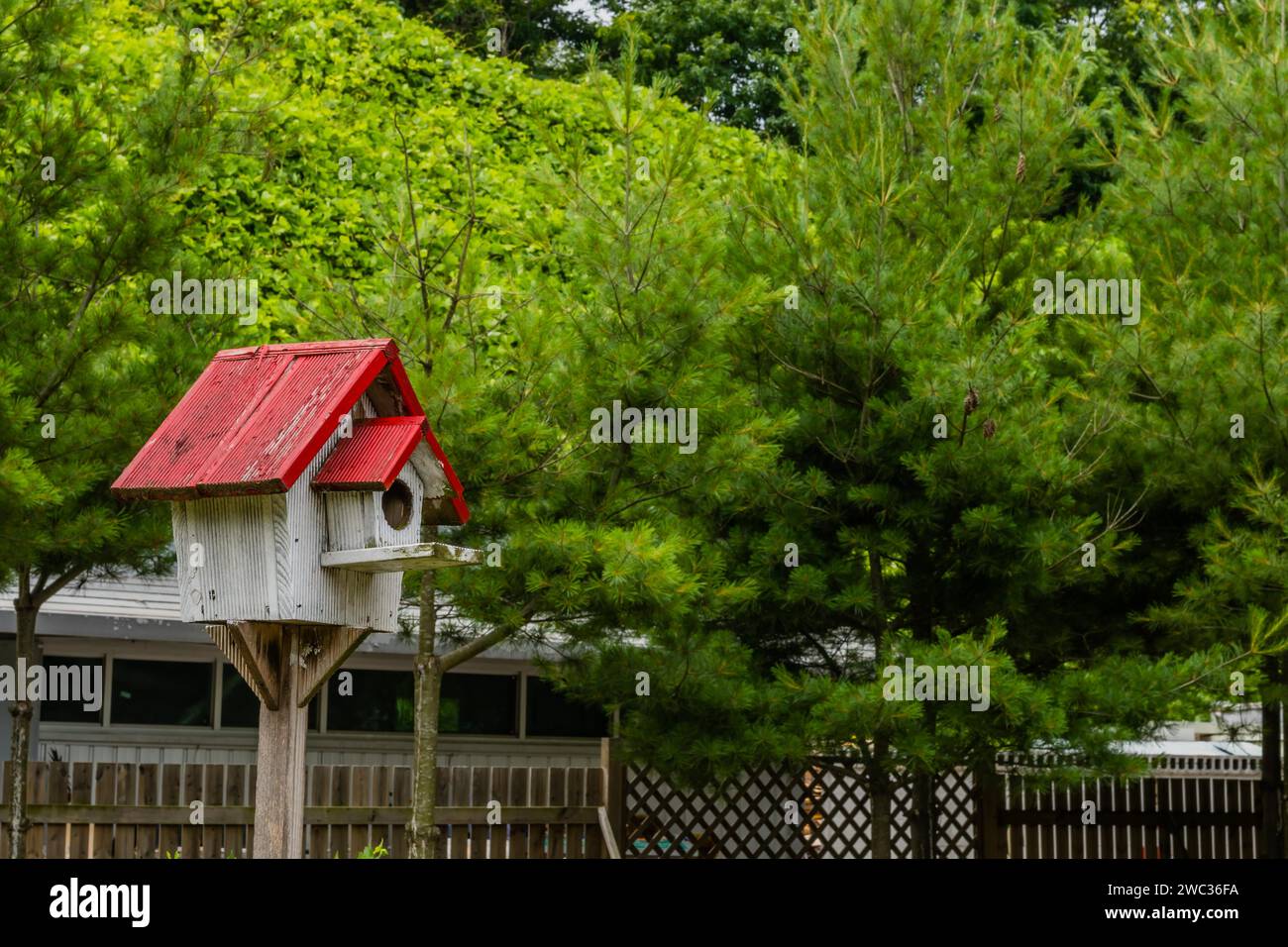 Una Pequeña Pajarera Hecha De Madera De Pie En El Jardín Para Las Aves  Fotos, retratos, imágenes y fotografía de archivo libres de derecho. Image  81519603