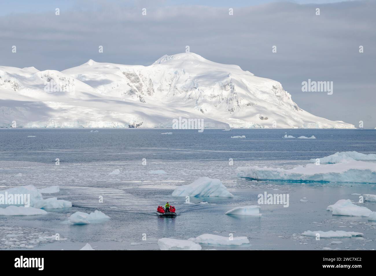 Zodiaco navegando a través del hielo en Neko Harbor, Antártida, agua llena de hielo y icebergs en su lugar, reflejos y picos nevados Foto de stock