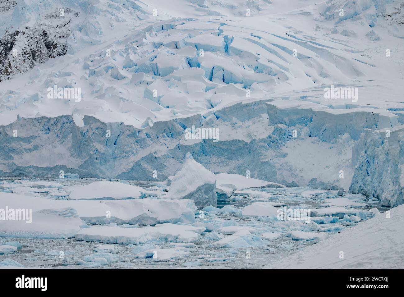Neko Harbor, Antártida, agua llena de hielo, icebergs, glaciares que parcen más hielo, colonia de cría de pingüinos Gentoo, rodeado de picos nevados Foto de stock