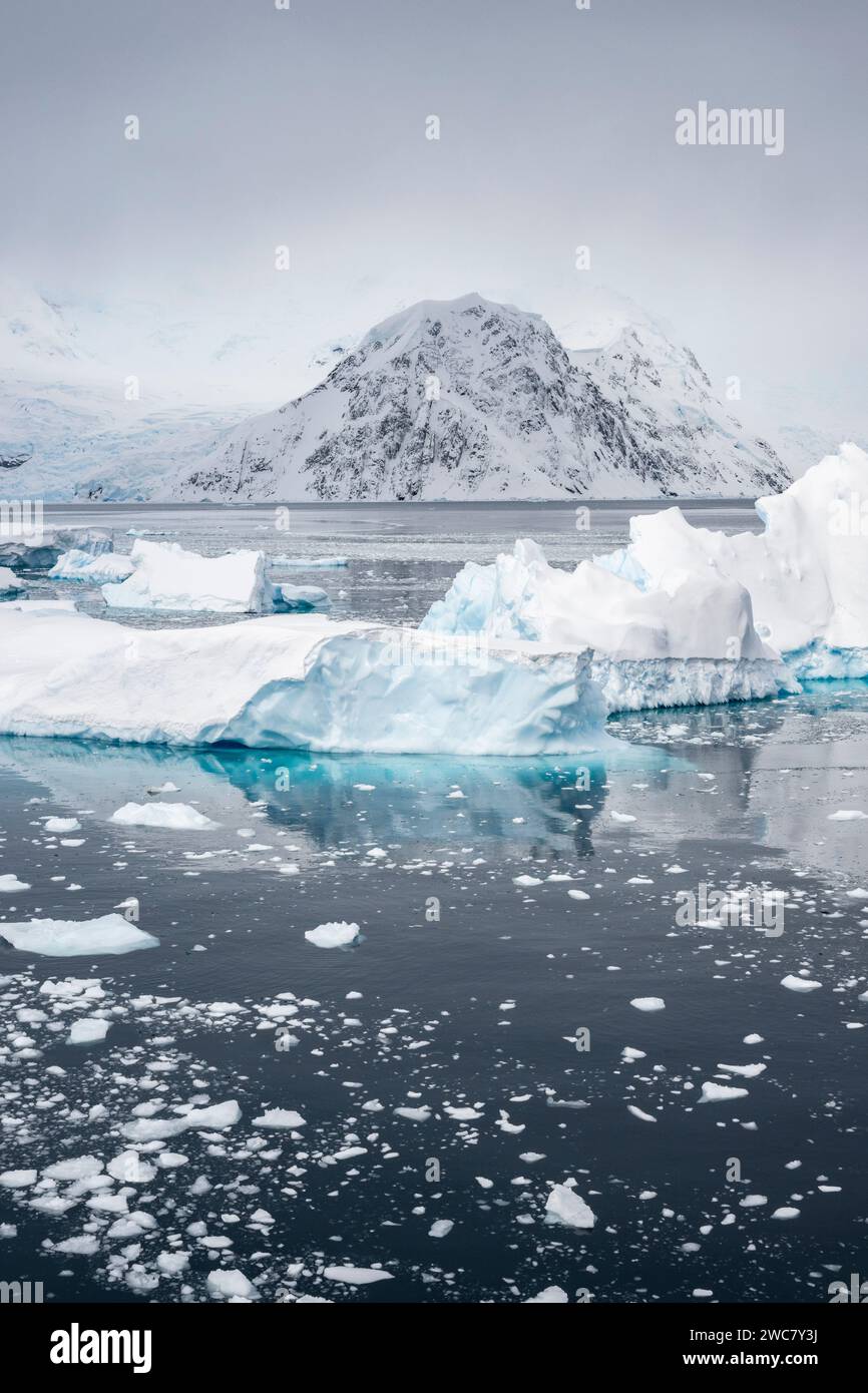 Neko Harbor, Antártida, vista del puerto y la costa, pequeños icebergs, y montaña cubierta de nieve, hielo lleno y flotante, glaciares que parcen Foto de stock