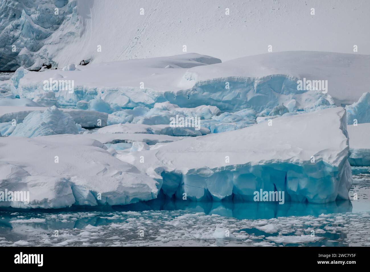 Neko Harbor, Antártida, vista del puerto y la costa, pequeños icebergs, y montaña cubierta de nieve, hielo lleno y flotante, glaciares que parcen Foto de stock