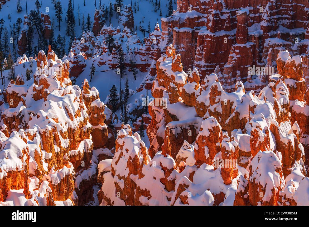Hoodoos cubiertos de nieve en el Parque Nacional Bryce Canyon, Utah Foto de stock