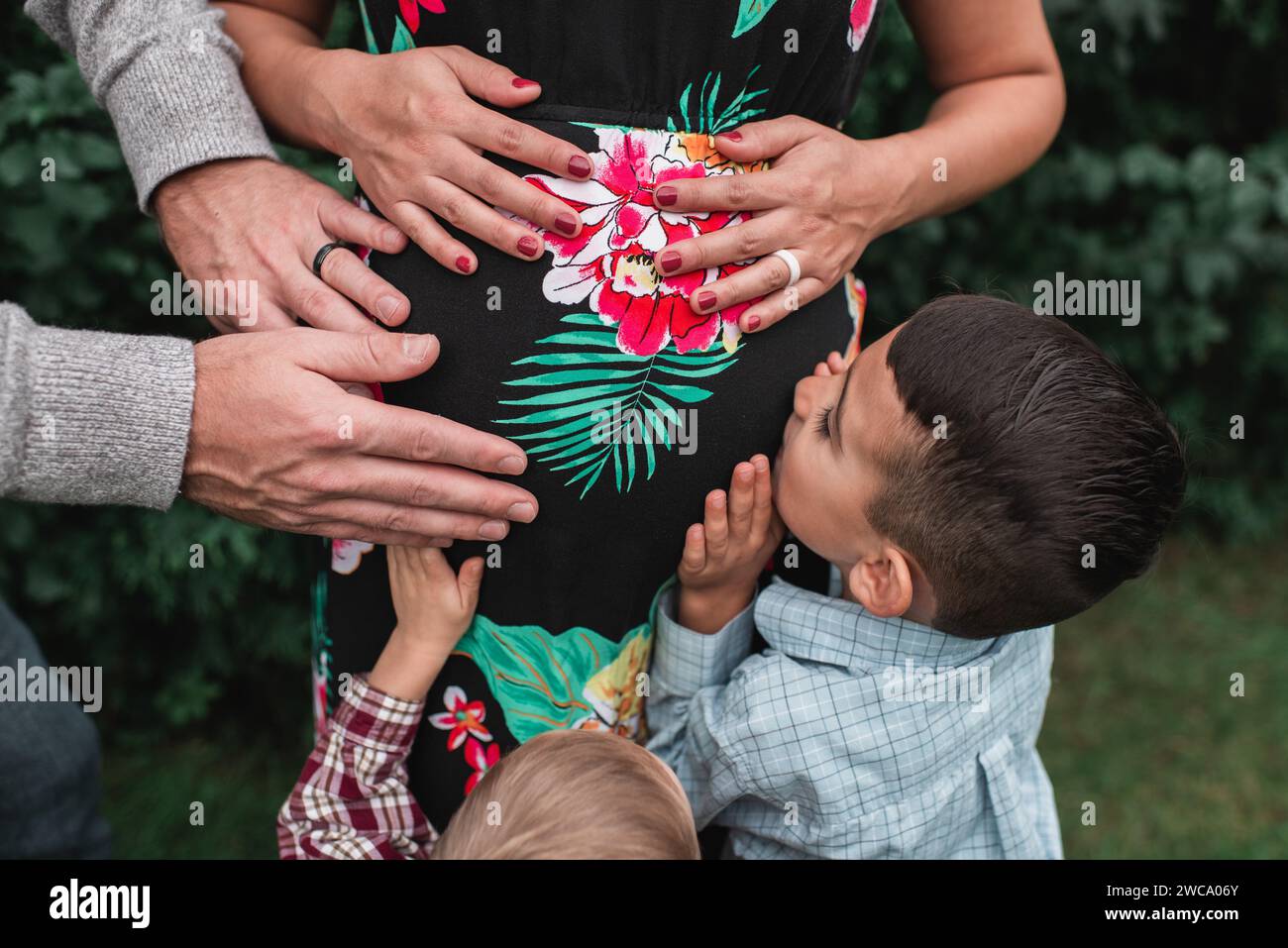 Hijo besando el vientre embarazada de mamá mientras hermano y padres sostienen el vientre Foto de stock
