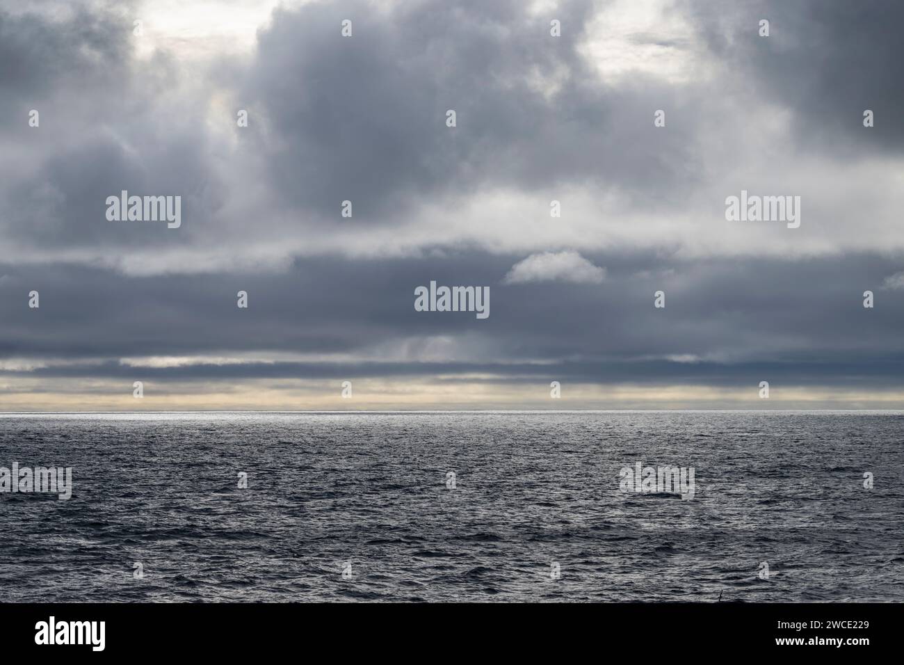 Cruzando Drake Passage en un día tranquilo pero nublado en primavera Foto de stock