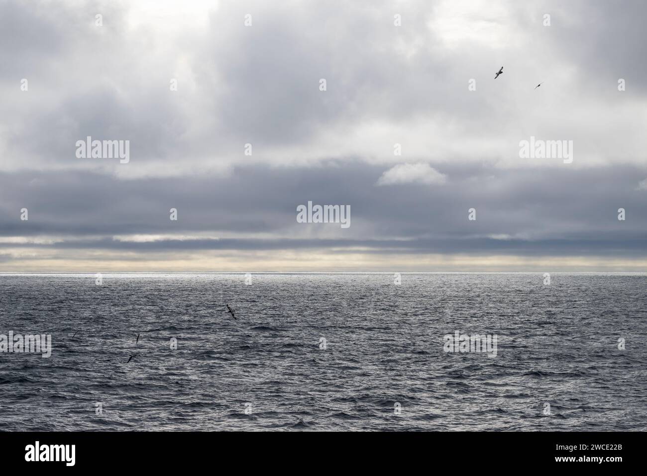 Cruzando Drake Passage en un día tranquilo pero nublado en primavera Foto de stock