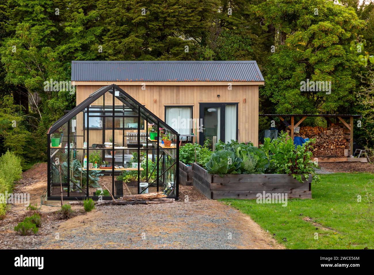 Pequeña casa con un invernadero y huerto en Manapouri, Aotearoa (Nueva Zelanda), Te Waipounamu (Isla Sur). Foto de stock