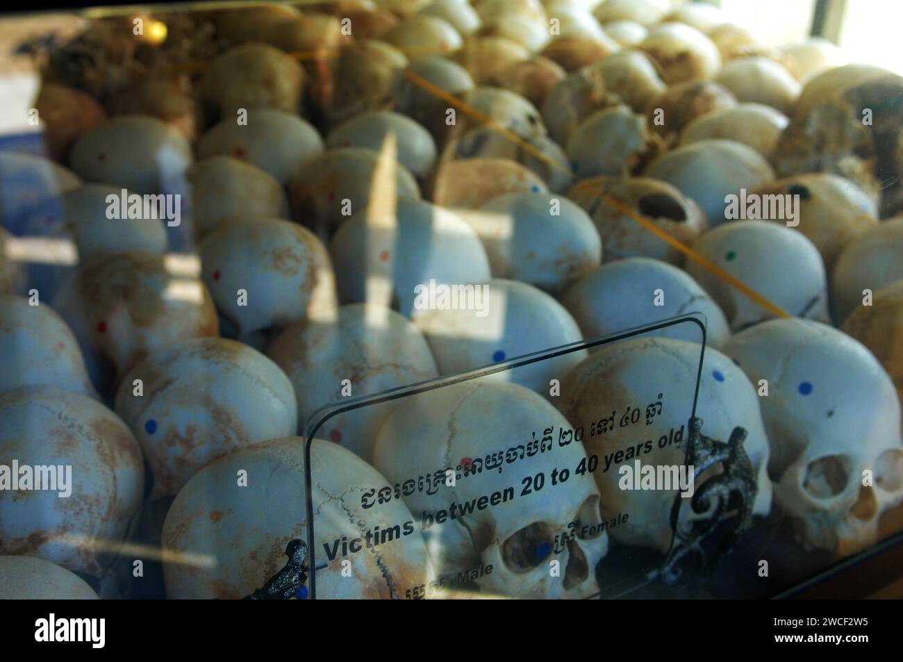 Cráneos humanos en exhibición en el Centro genocida Choung EK, Phnom Penh, Camboya. Foto de stock