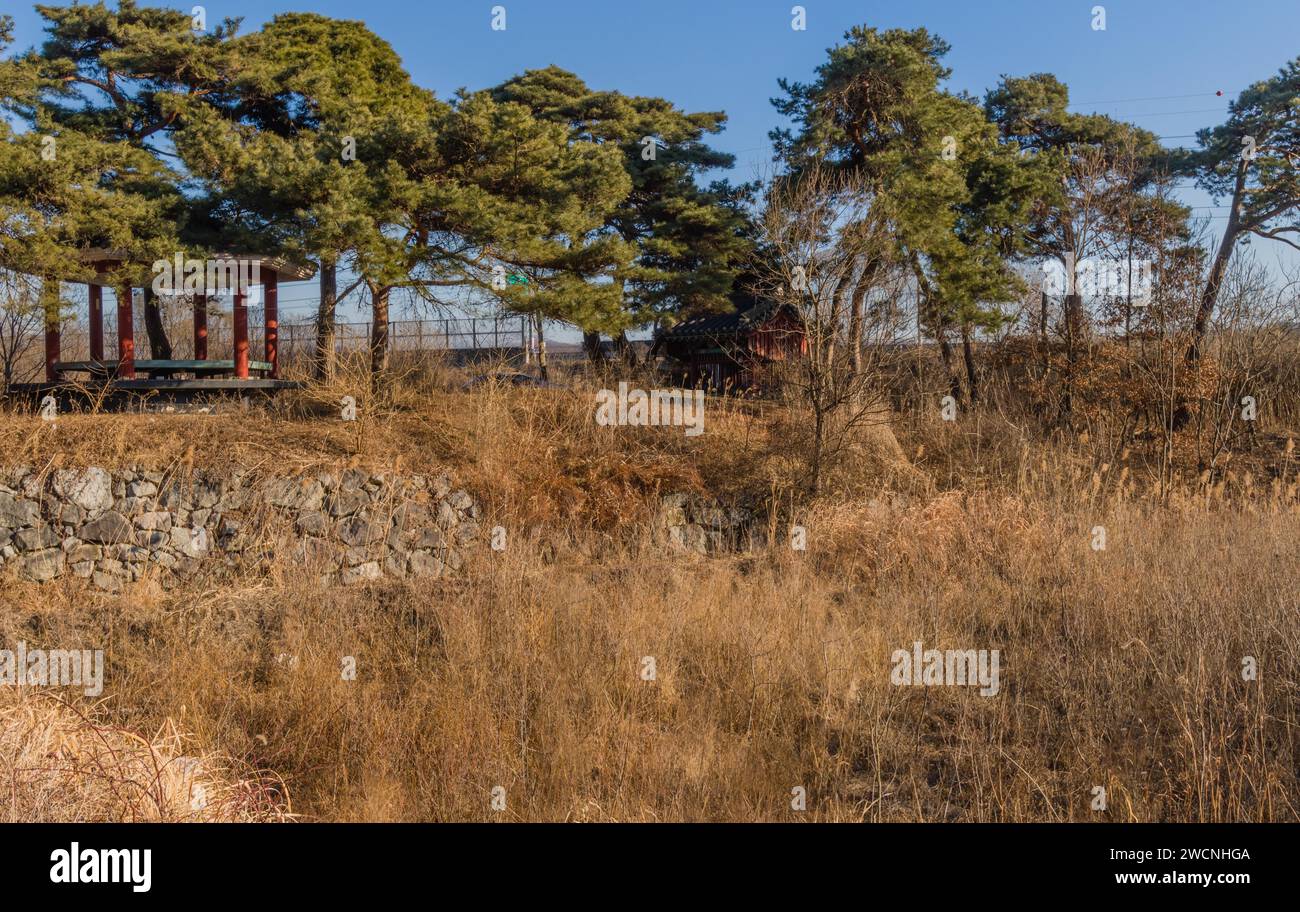 Cenador de picnic cubierto coreano y pabellón tradicional bajo grandes árboles de hoja perenne y cielos azules en un día soleado en enero Foto de stock