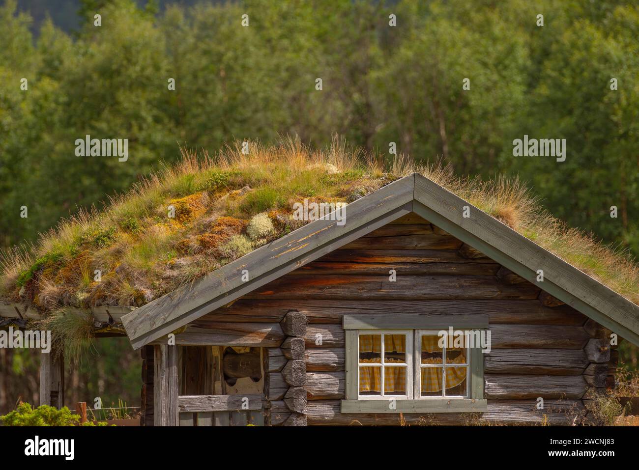 Casa de madera, techo natural, techo de hierba, techo verde, casa de madera, tronco natural, cabaña de montaña, Savalen, Tynset, Innlandet, Noruega Foto de stock