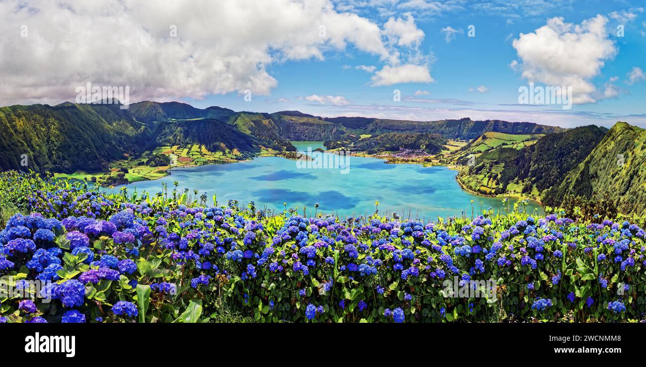 Sol brillante sobre hortensias azules (Hydrangea) frente al lago del cráter Lagoa Azul con agua cristalina, Lagoa Verde, Lagoa Azul, Lagoa de Foto de stock