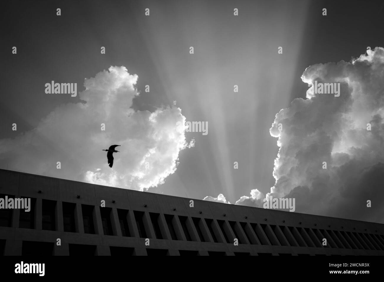 Rayos de sol a través de las nubes y un pájaro volador sobre un edificio en Berlín Foto de stock