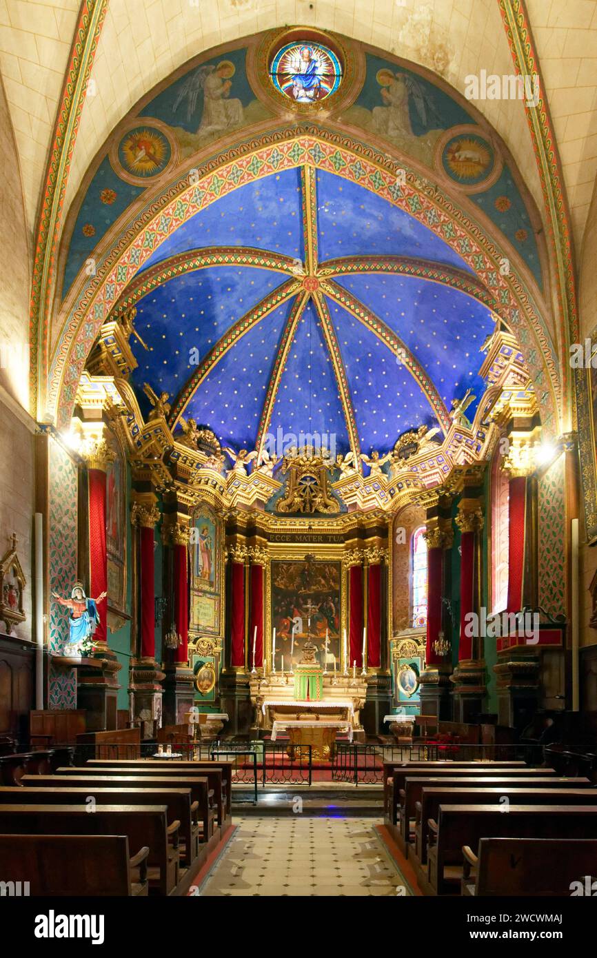 Francia, Alpes de Alta Provenza; pueblo de Entrevaux, etiquetado Les Plus Beaux Villages de France (los pueblos más bellos de Francia), la ciudad medieval fortificada por Vauban, Nuestra Señora de la Asunción fortificada catedral Foto de stock