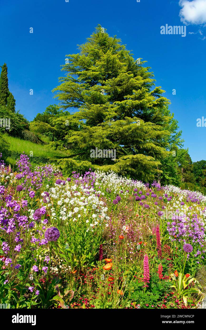 Alemania, Bade Wurtemberg, Lago Constanza (Bodensee), Isla Mainau, isla jardín en el Lago Constanza Foto de stock